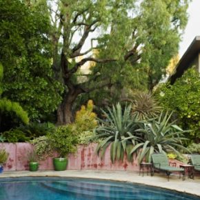 The California Dream of Elysian Landscapes The California Dream of Elysian Landscapes