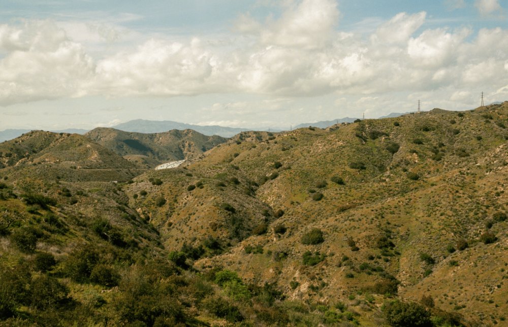 When the Mountain Comes to You: The Artists of No Canyon Hills Are Taking On the Entire System — And They Might Win